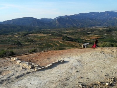 Vista general del jaciment del Coll del Moro de Gandesa.