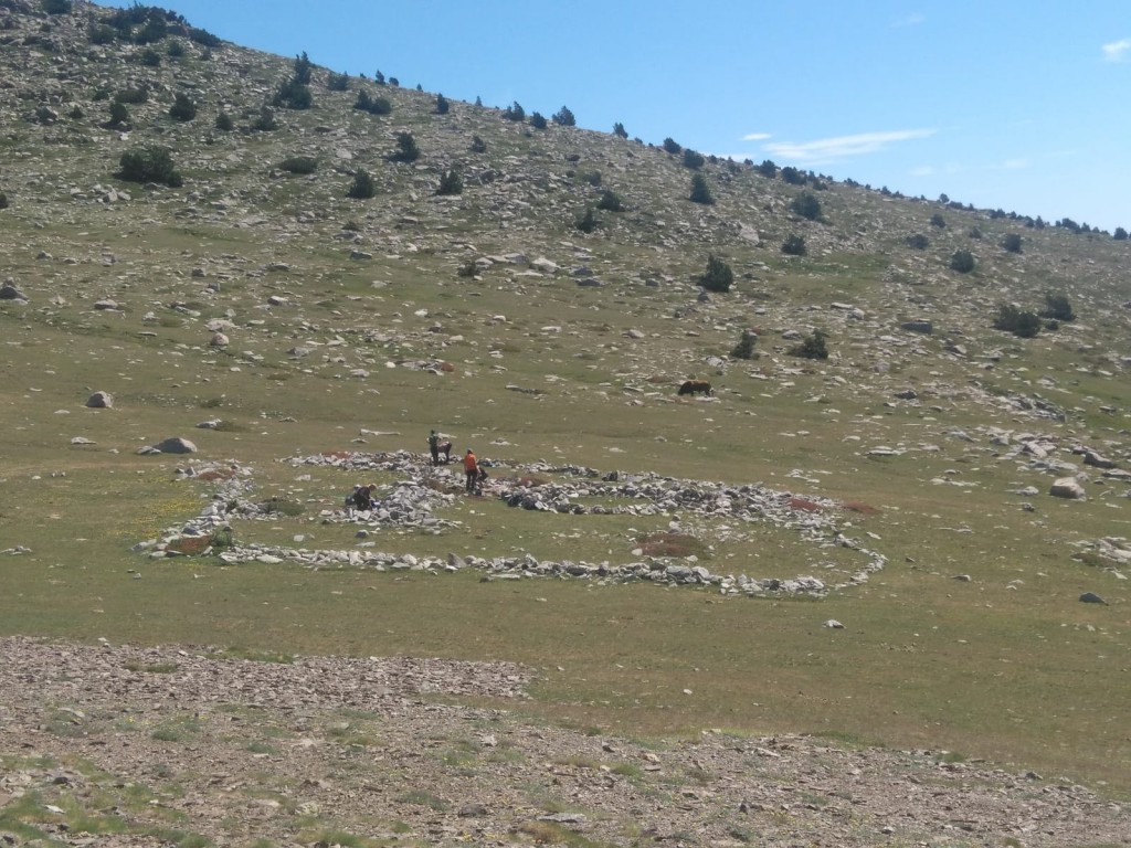 Jaciment de coll de Mulleres I, Meranges. Sota el Puig Pedrós, 2.450 m. Foto: Josep M. Palet