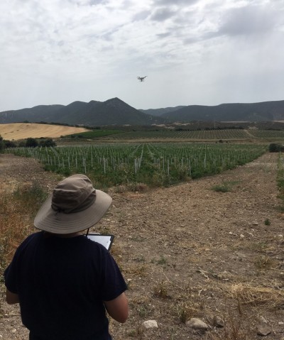 Fieldwork in Sardinia