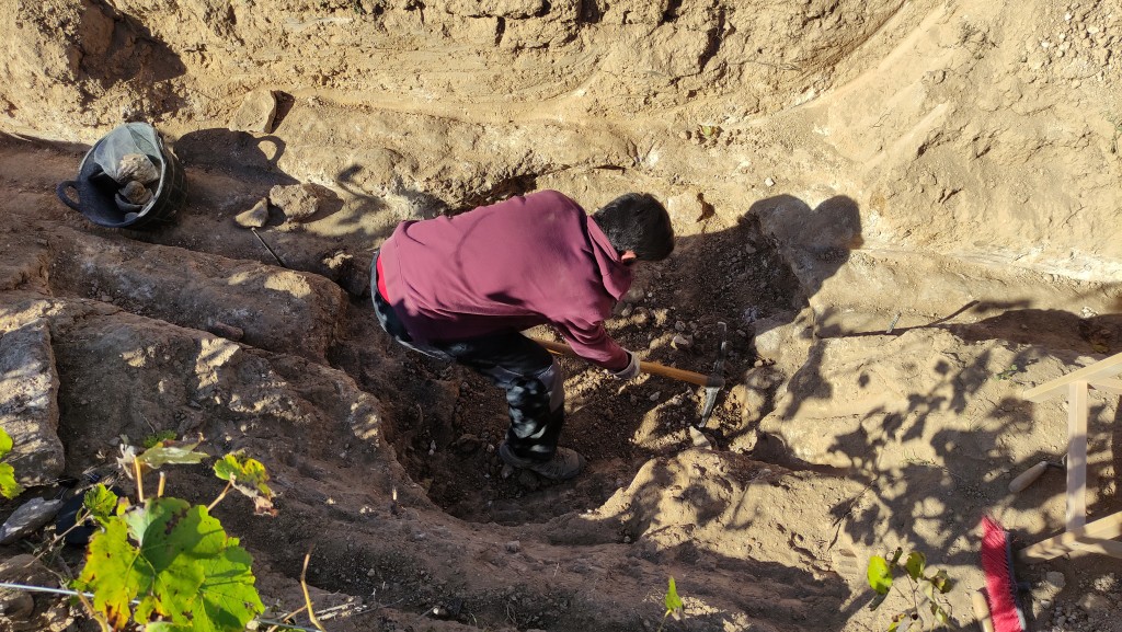 (4)Treballs d’excavació per a posar al descobert i documentar una sitja d’emmagatzematge, al jaciment del Mas Cap de Ferro, durant els treballs que hi ha dirigit l’ICAC aquest 2021. Foto: ICAC.