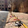 Definiendo la forma del Templo Flavio