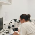 Una estudiant de la Universitat Aristòtil de Tessalònica completa una estada Erasmus+ de formació en arqueobotànica a l’ICAC